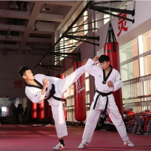 taekwondo