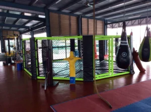 ਪਿੰਜਰੇ ਦੀ ਵਾੜ